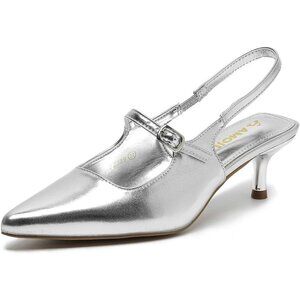 Amoji Women Silver Closed Pointed Toe Kitten Slingback Low Heel Pumps For Party